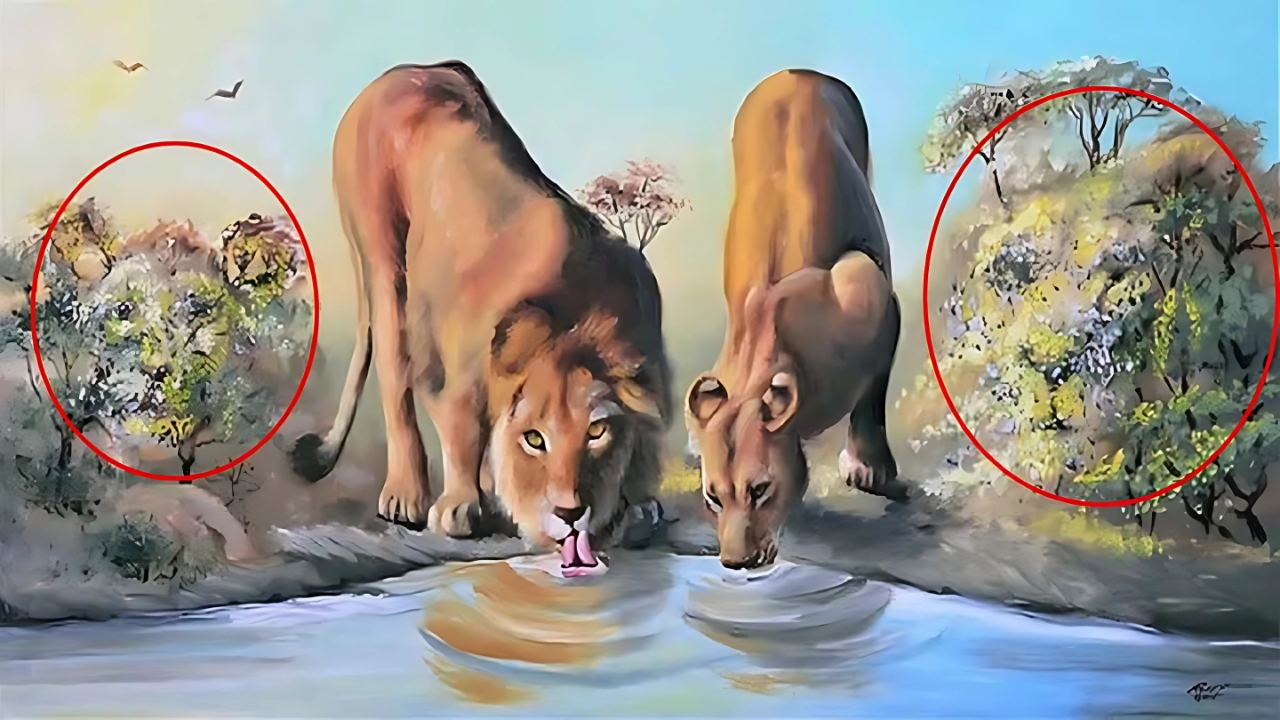Hidden Lions